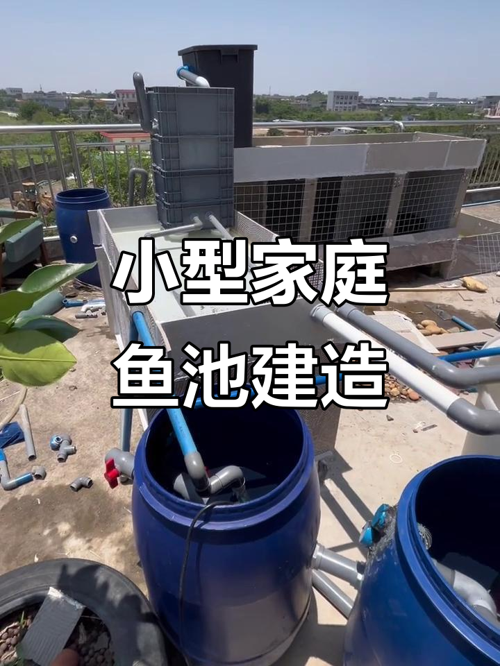 楼顶鱼菜共生系统:从四百升桶到生态循环