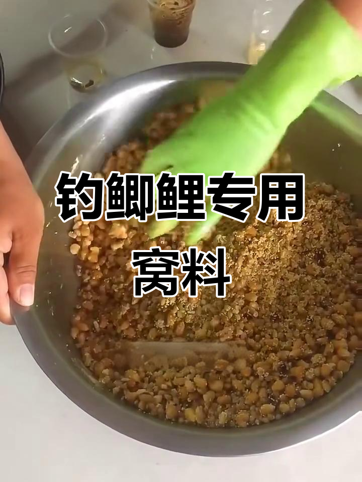 自制鲫鲤草鱼窝料,钓鱼必备秘方