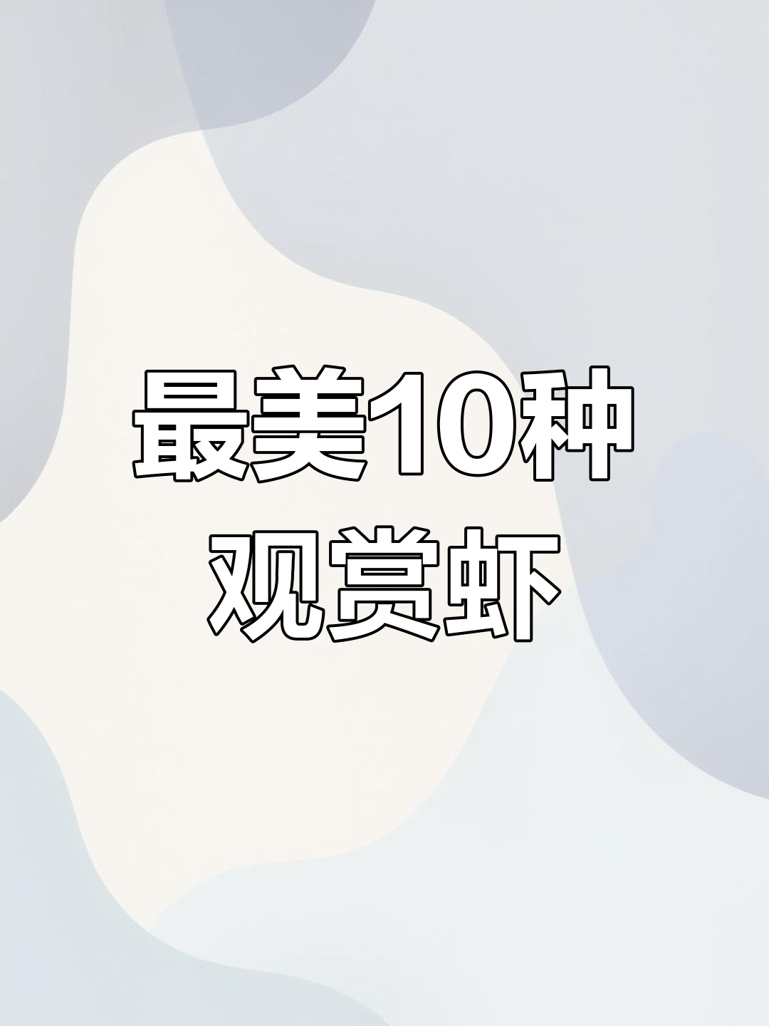 十大最美观赏虾推荐