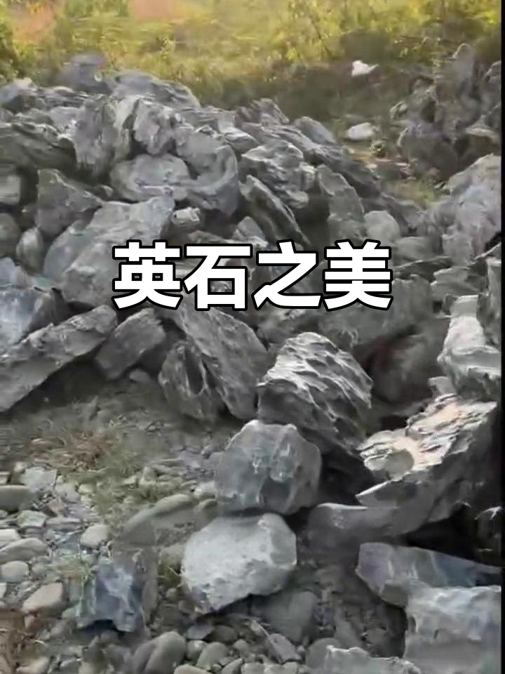 五一假期,带你欣赏精致英石,假山盆景庭院必备