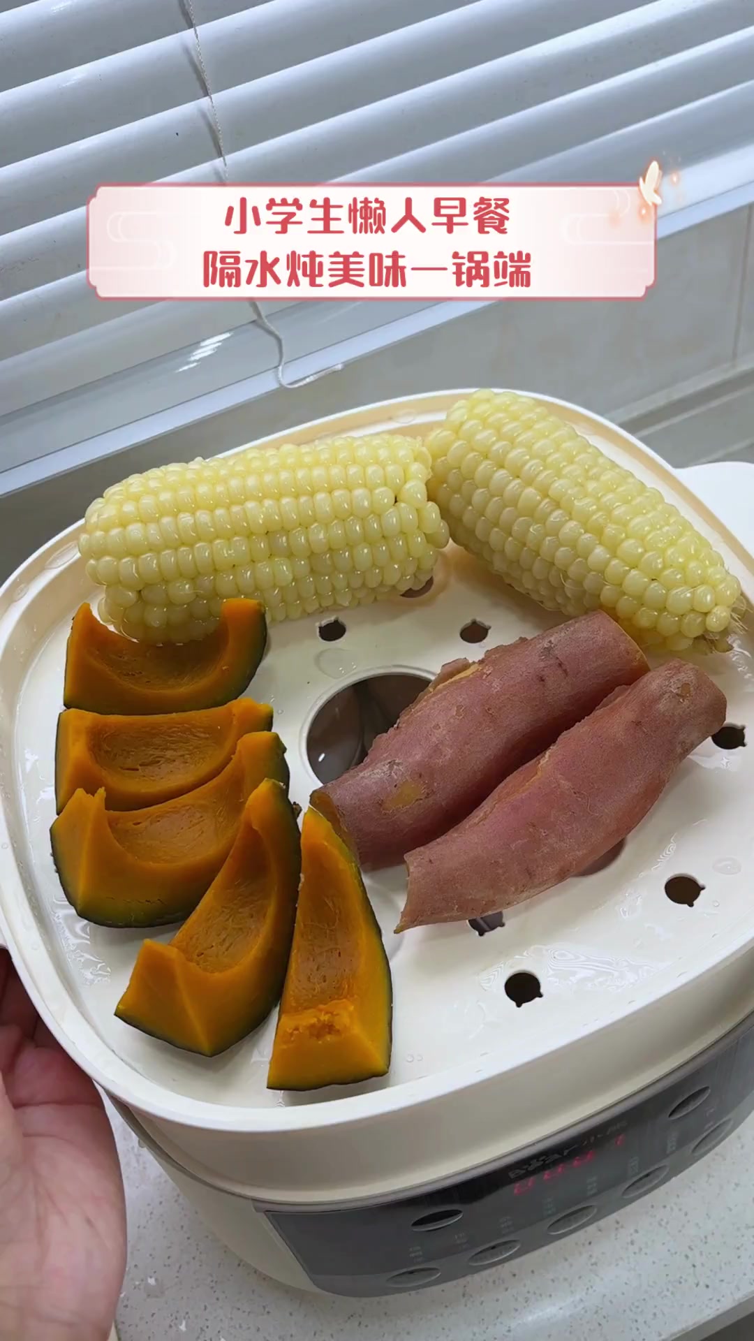 小学生懒人早餐,隔水炖美味一锅端