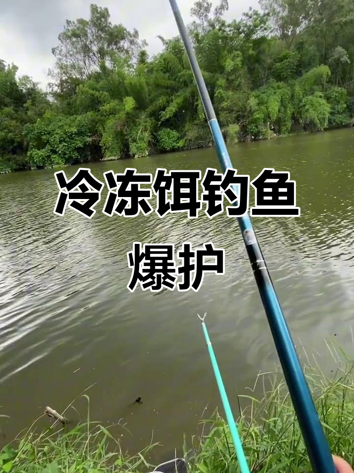 用冷冻饵钓大罗非,三米六杆子轻松爆护