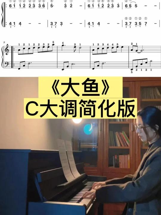 《大鱼》C大调简化版
