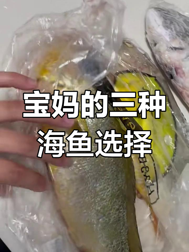 黄花鱼、黄翅与午鱼的鲜美搭配,宝妈厨房回购推荐