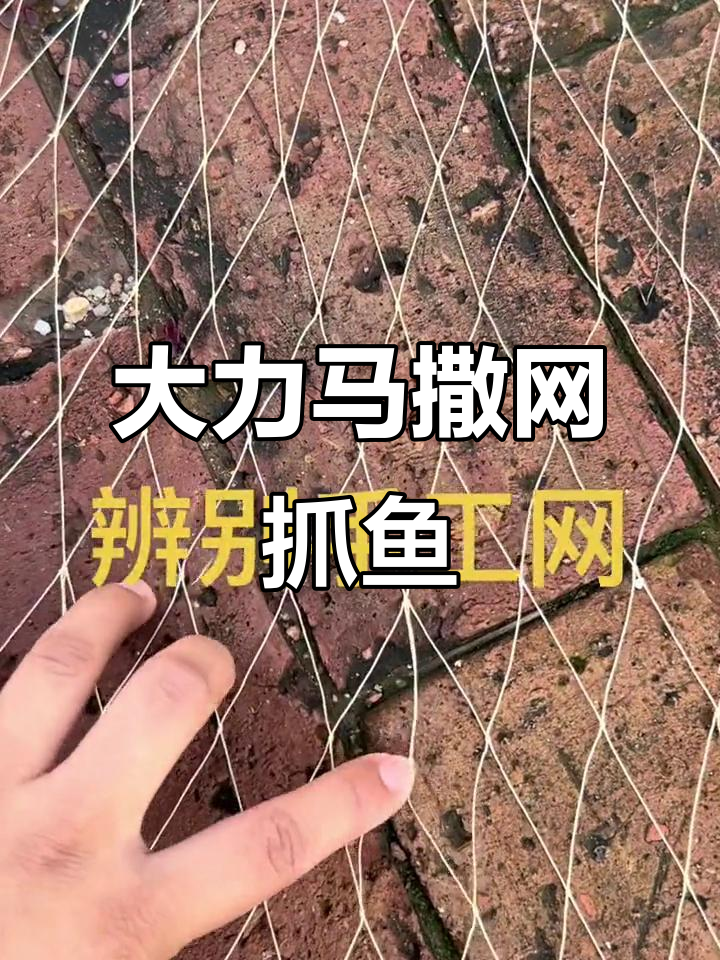 手工大力马撒网捕鱼,四米高八斤重,一开刀毛都不剩