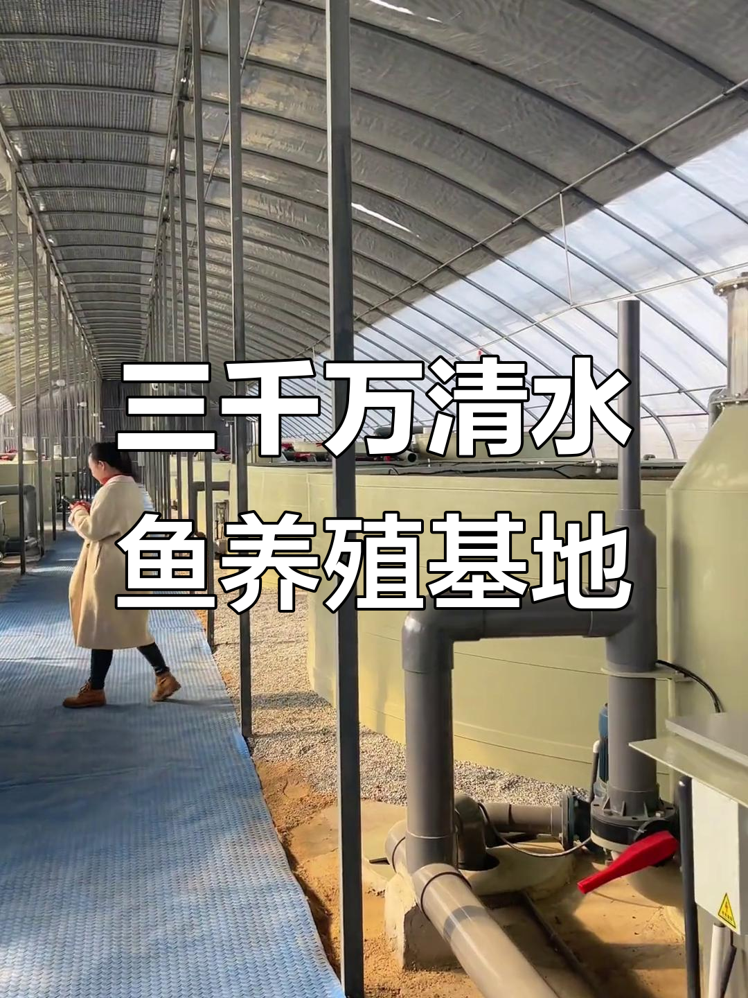 探秘三千万清水鱼养殖基地,揭秘水产行业的秘密