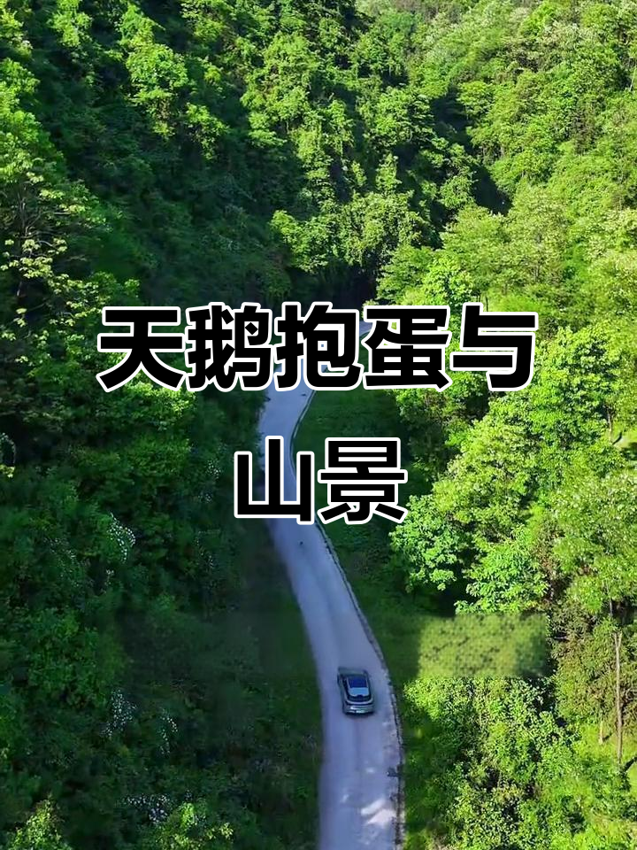爬山顶看天鹅抱蛋,美景尽收眼底!