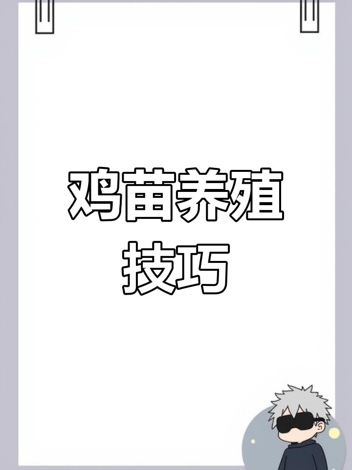 鸡苗养殖全攻略:如何正确饲养