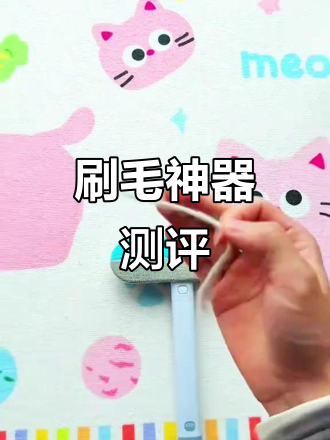 猫毛清理神器大比拼!迷你小瓜子、滚筒粘遇纸,哪个最有效?