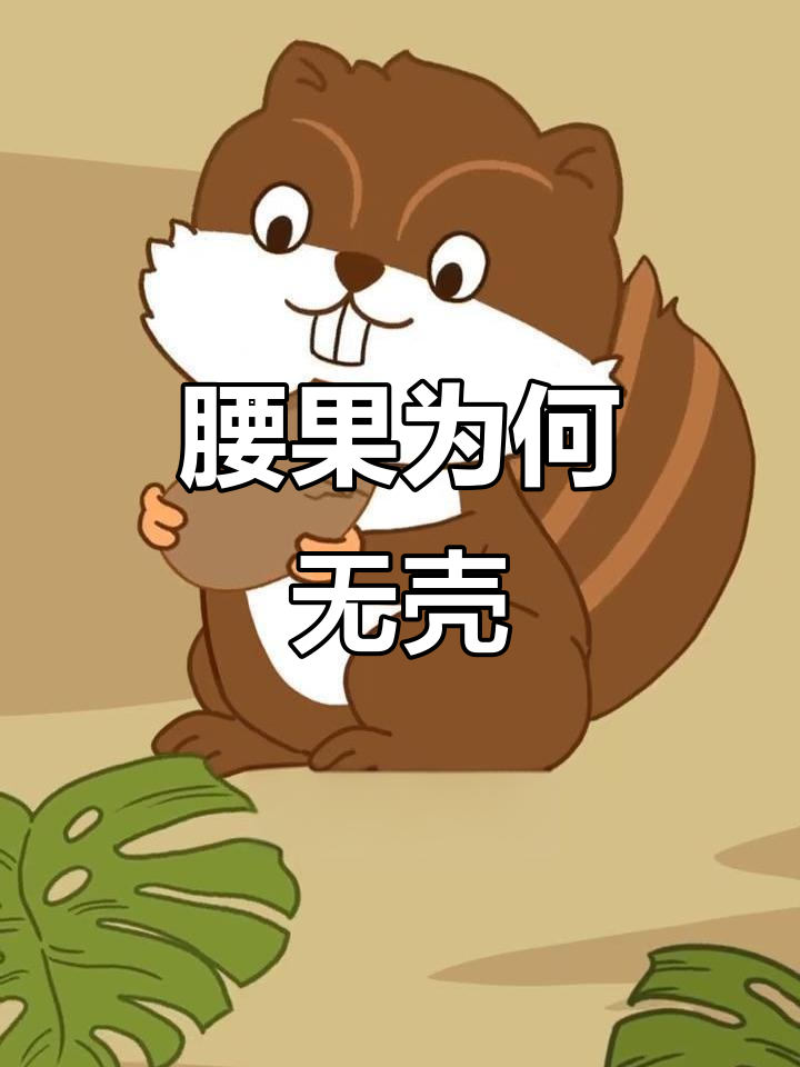 为什么腰果是唯一没有壳的坚果?揭秘背后的进化策略