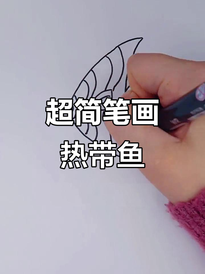 轻松学画热带鱼,简单又有趣