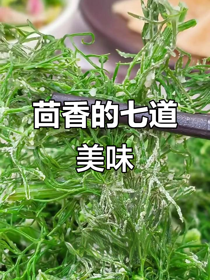 茴香的美味七种做法,轻松解锁每一口