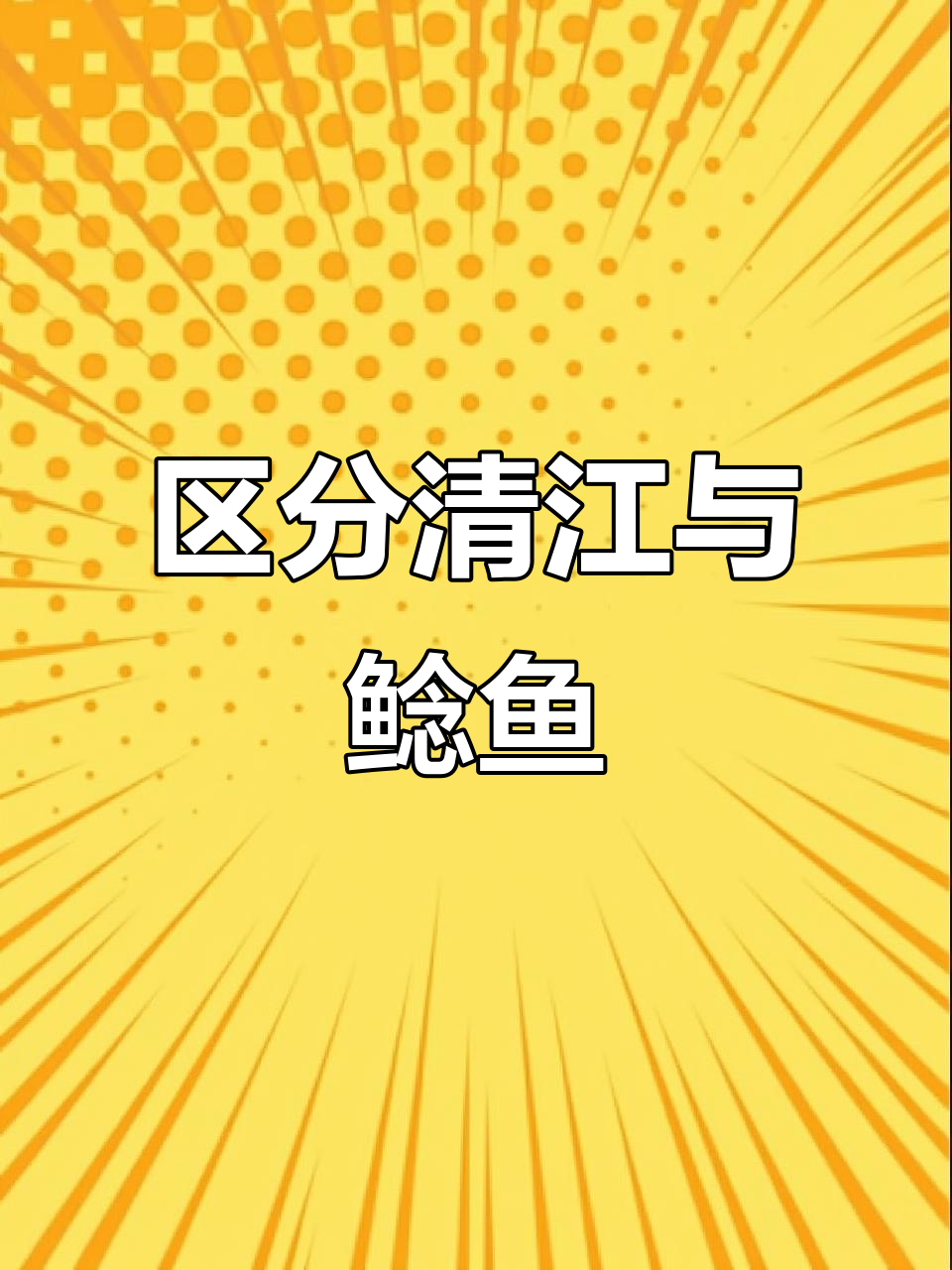 清江鱼和鲶鱼的尾巴区别,教你如何分辨