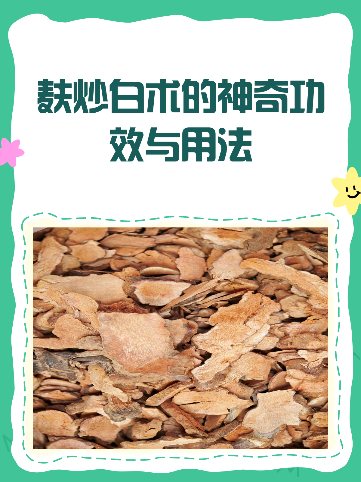 麸炒白术,你知道它的神奇功效吗?