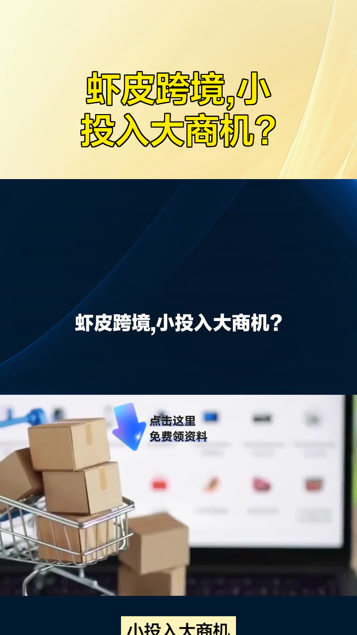 虾皮跨境,小投入大商机?