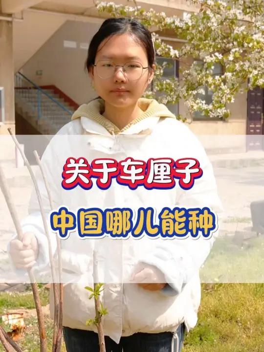 您所在的地区,都能种哪个品种的车厘子?想种对版车厘子,左下角小黄车已准备好#三农 #新农人
