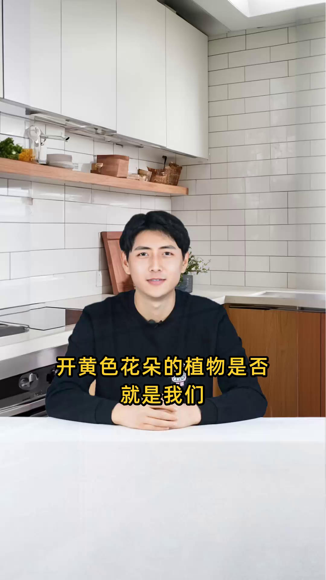开黄色花朵的植物是不是就是我们常说的荠菜呢?