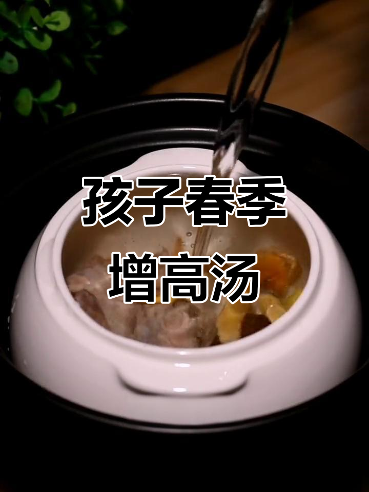 春季孩子长高汤,太子参、黄芪助力成长