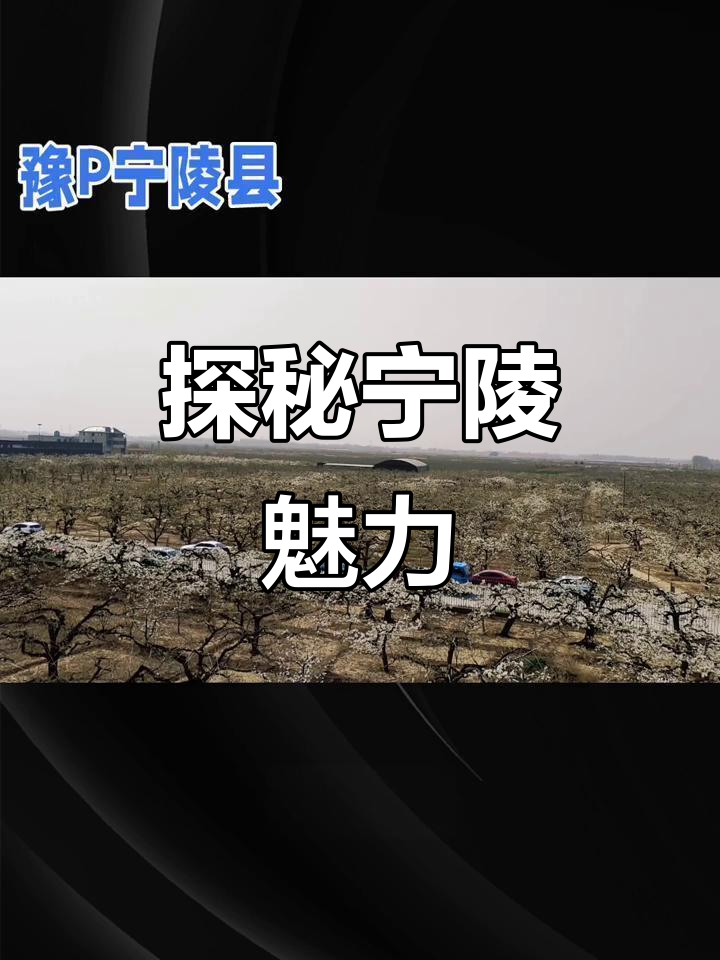 宁陵县美食与景点全攻略:垛子羊肉、哨子汤和梨园美景