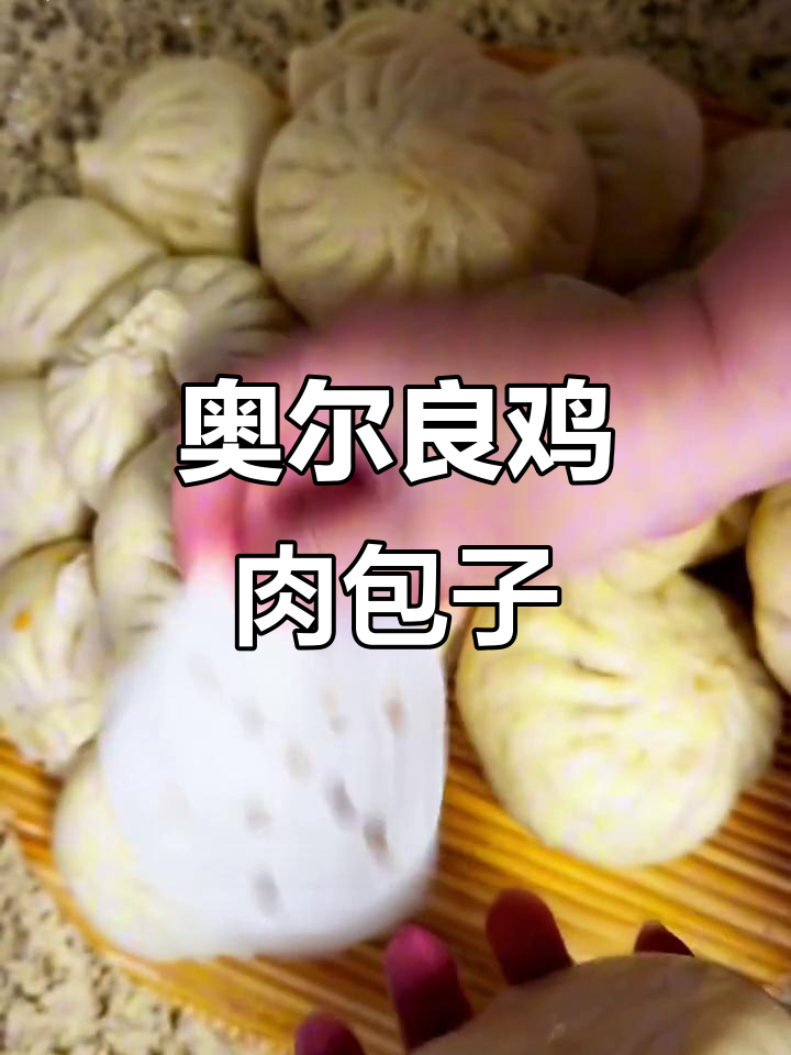 奥尔良鸡肉包子,孩子们的最爱!做法超简单