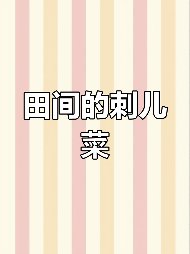 刺菜:田间地头的“小痛”与美味