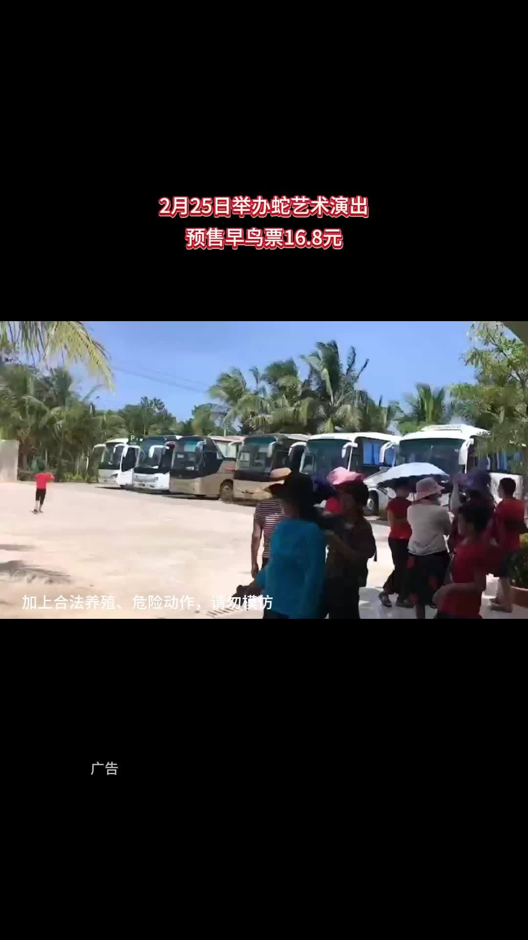 海南亲子活动 琼海蛇博园 同城优先推荐 琼海旅游攻略 海南