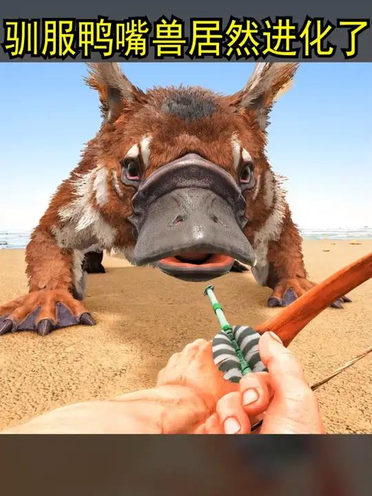 驯服鸭嘴兽居然进化了 驯服鸭嘴兽居然进化了
