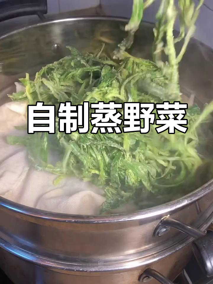 蒸面条菜,简单又美味!教你做纯天然无添加的野菜美食