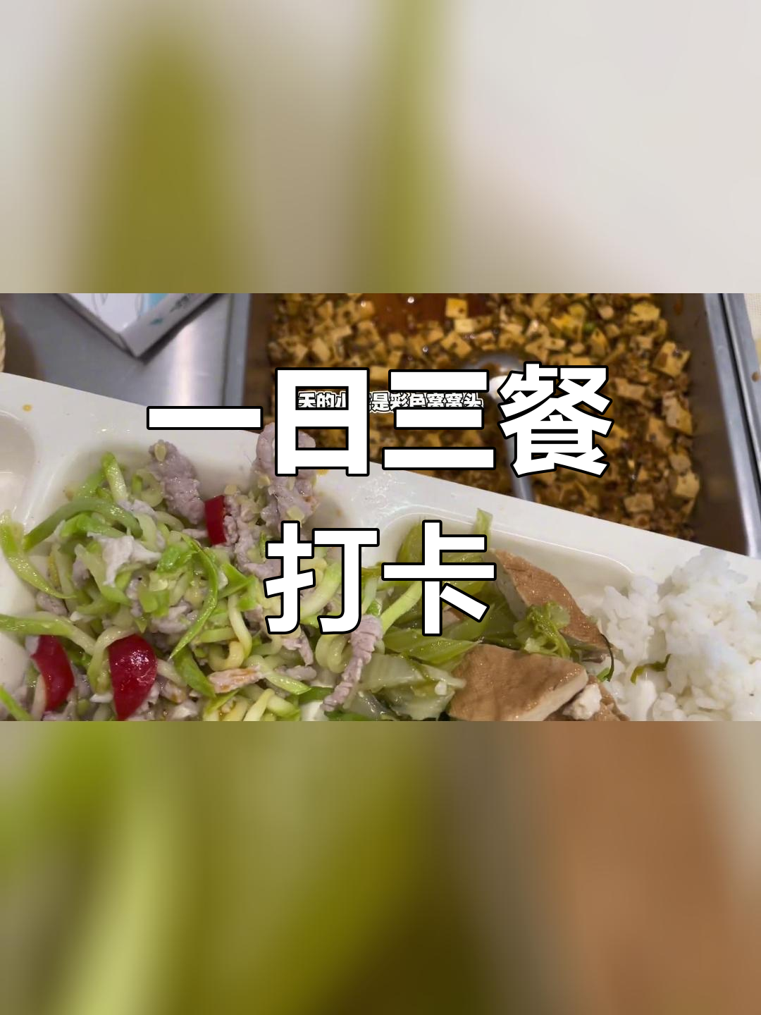 食堂饭菜大集合,吃遍各种美味