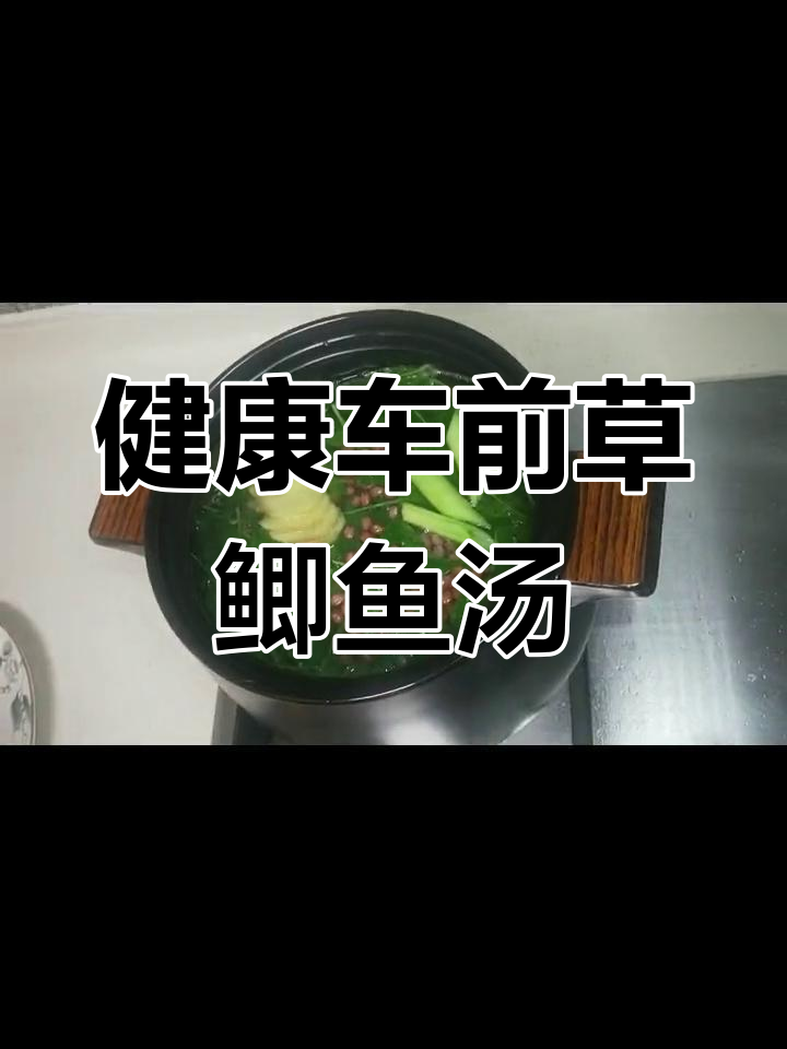 车前草鲫鱼汤,轻松做健康美味