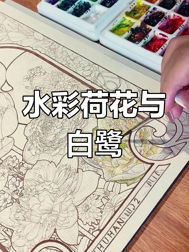 荷花与白鹭的夏日水彩画,细节满满!