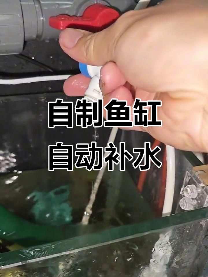 鱼缸自动补水装置DIY,轻松调节水位不费力