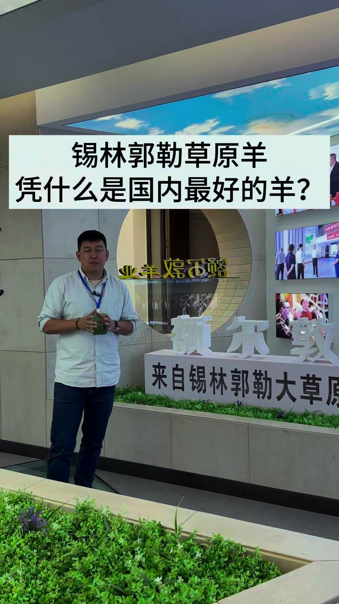 锡林郭勒草原羊,凭什么是国内最好的羊?