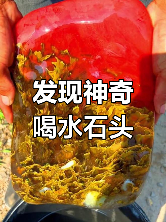 放羊捡到一块会喝水的石头,像鸡血石一样美丽