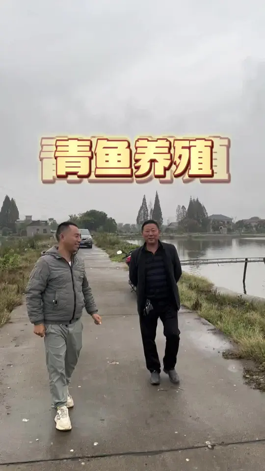 湖南人好客，青鱼养殖背后有怎样的故事？