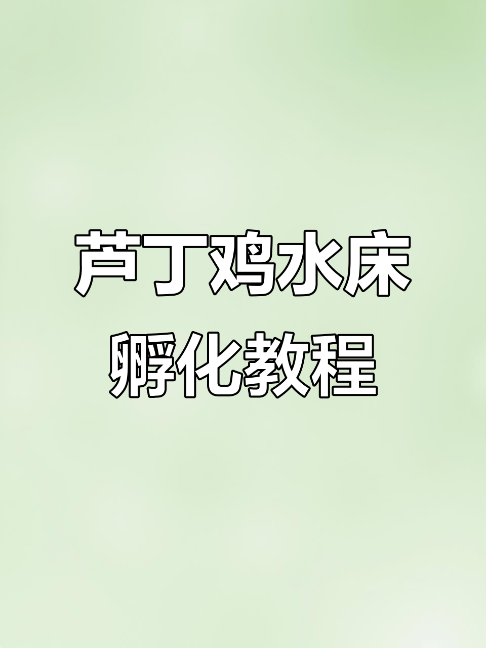 水床孵化芦丁鸡全攻略：从温度调节到翻蛋技巧