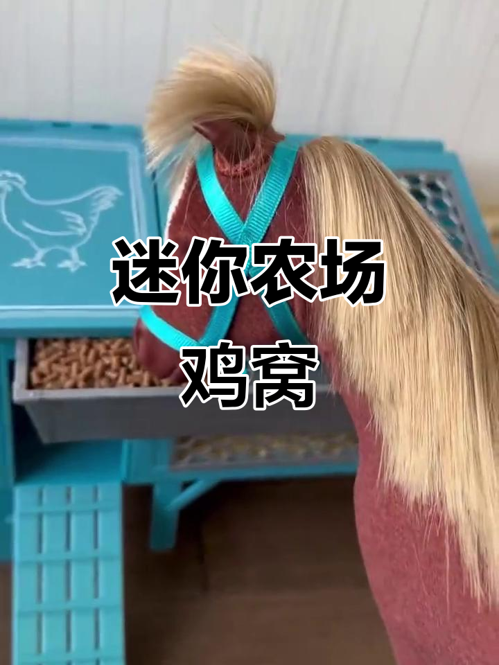 小巧农场鸡窝,迷你设计超有趣