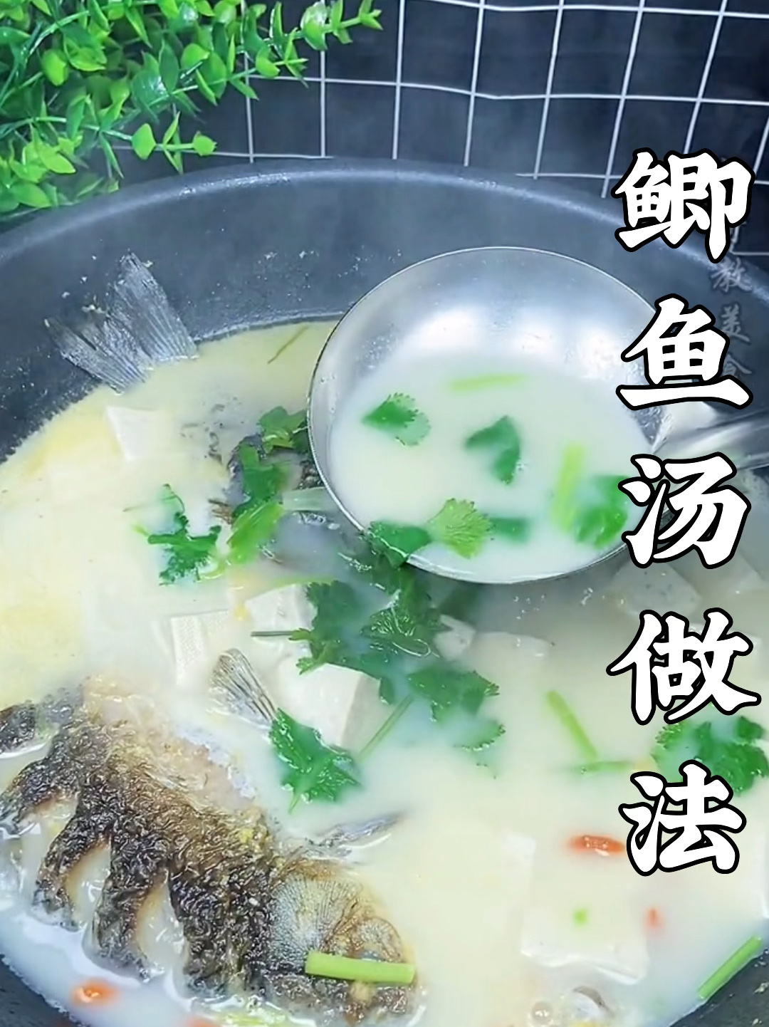 鲫鱼汤的做法