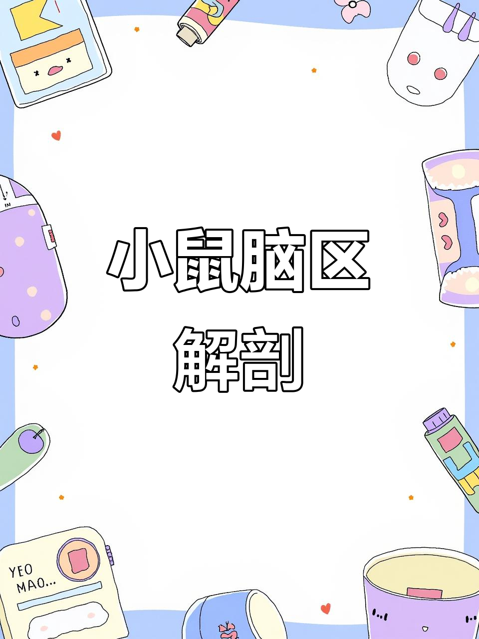 8分钟带你探索小鼠大脑,精准分离各区域!