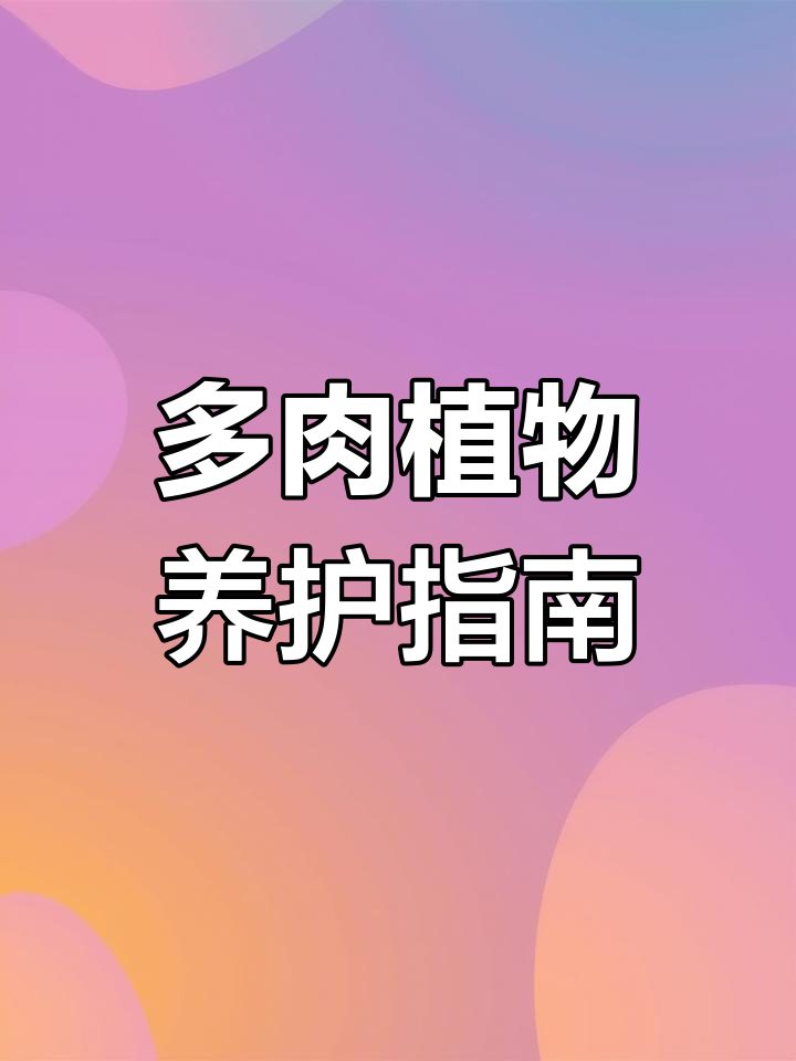 初恋多肉:轻松养殖技巧与繁殖方法