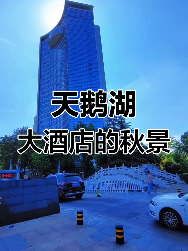合肥天鹅湖大酒店,五星级会议型酒店