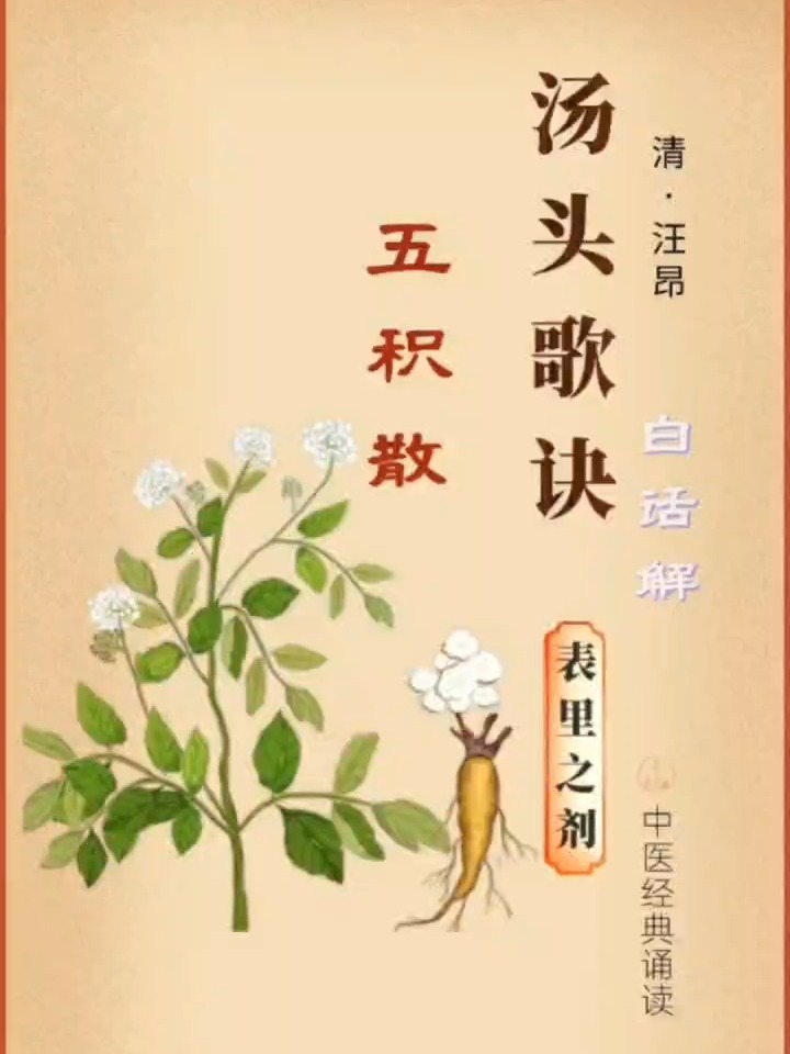 汤头歌诀-表里之剂-五积散