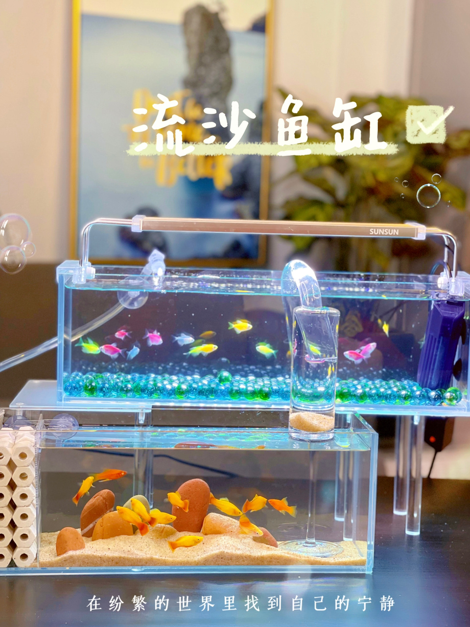 虹吸教学小鱼都想喝一杯的流沙鱼缸