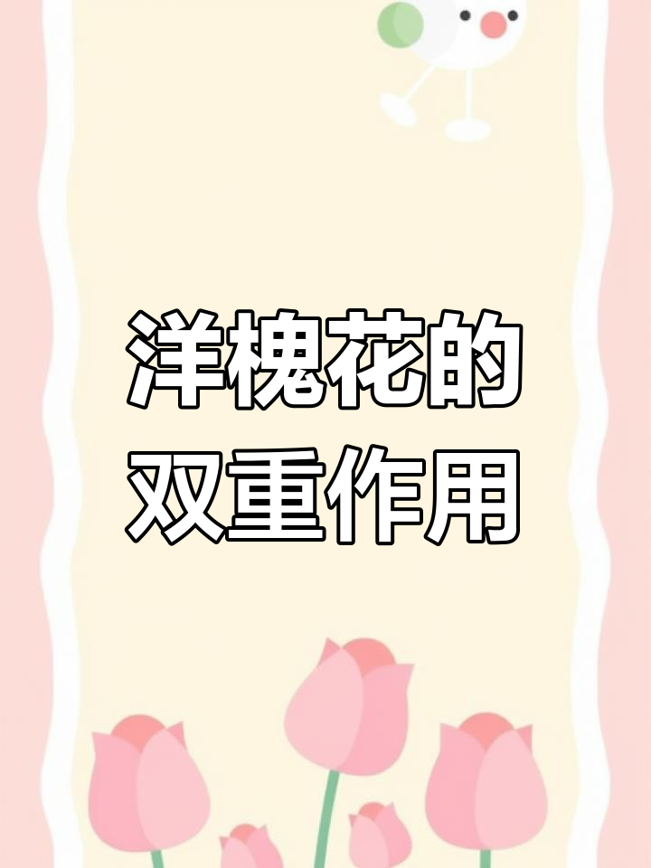 洋槐花的美味与实用,蒸菜泡茶两相宜