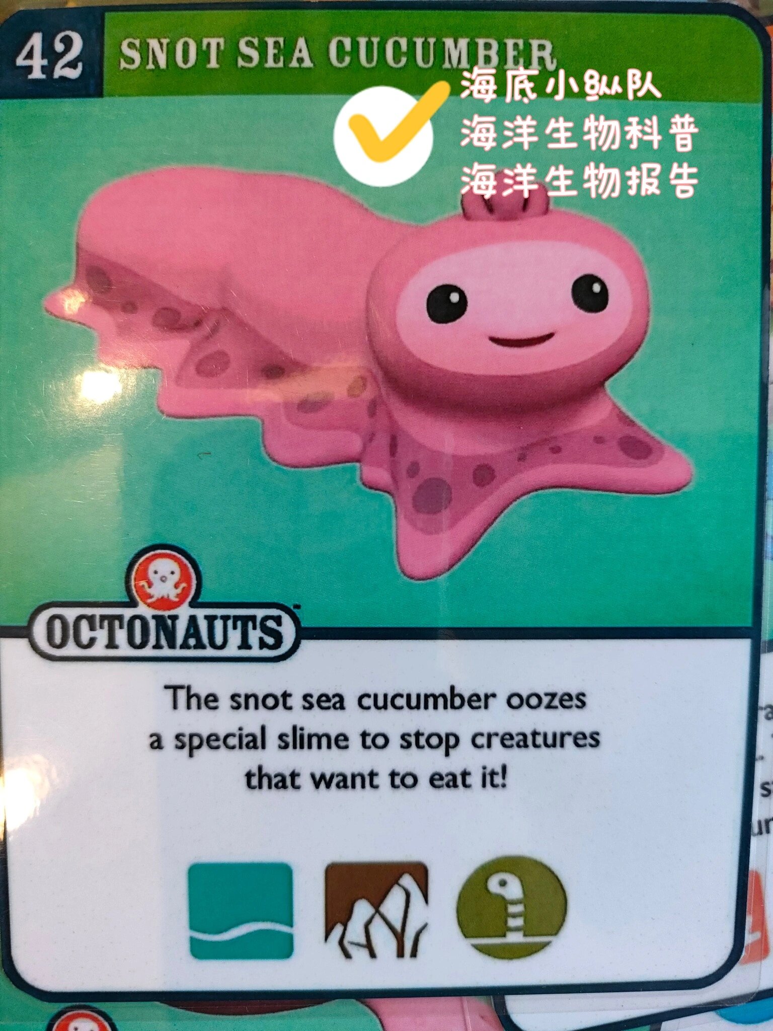 海底小纵队 海底生物报告 Octonauts