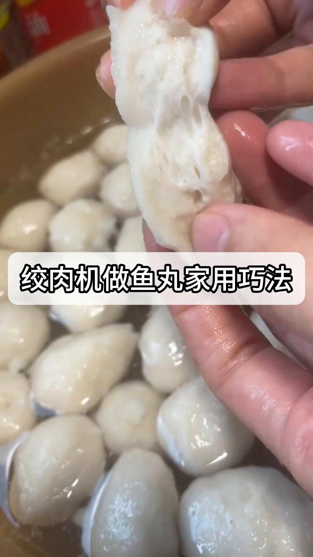绞肉机做鱼丸家用巧法