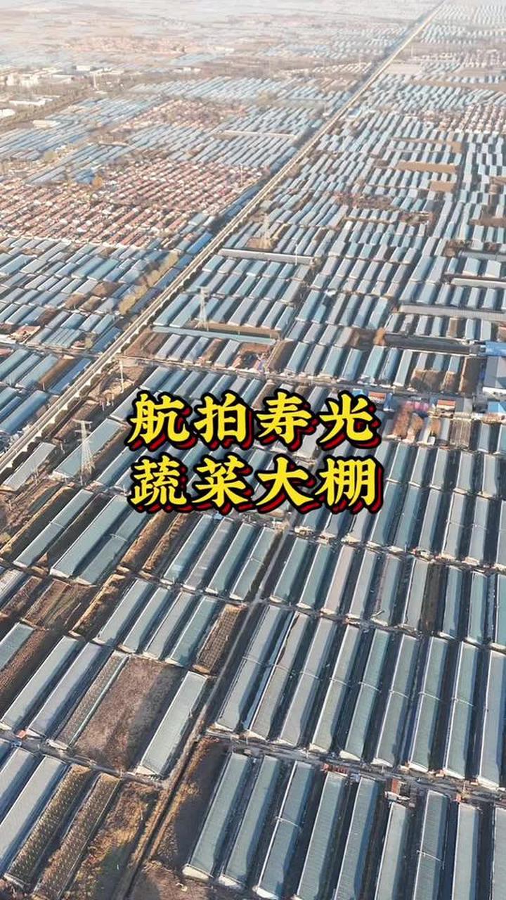 世界蔬菜看中国，中国蔬菜看寿光