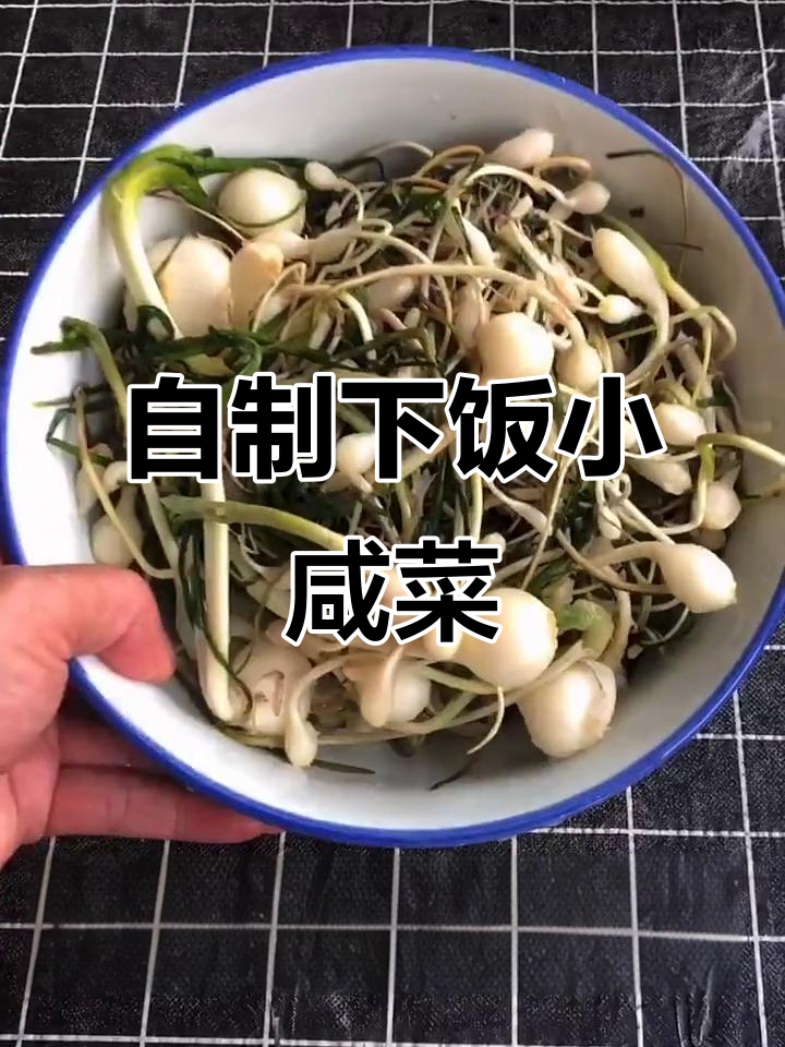 田间地头的野菜小咸菜,做法超简单!