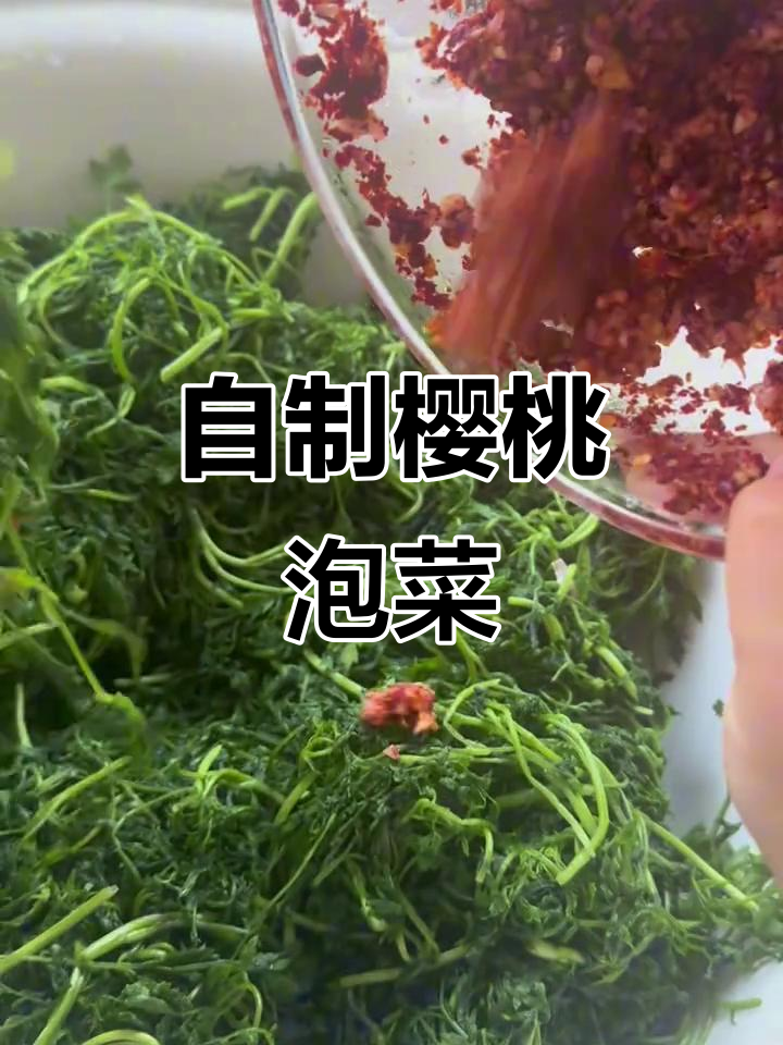 朝鲜族樱菜咸菜的独特做法,味道一绝!