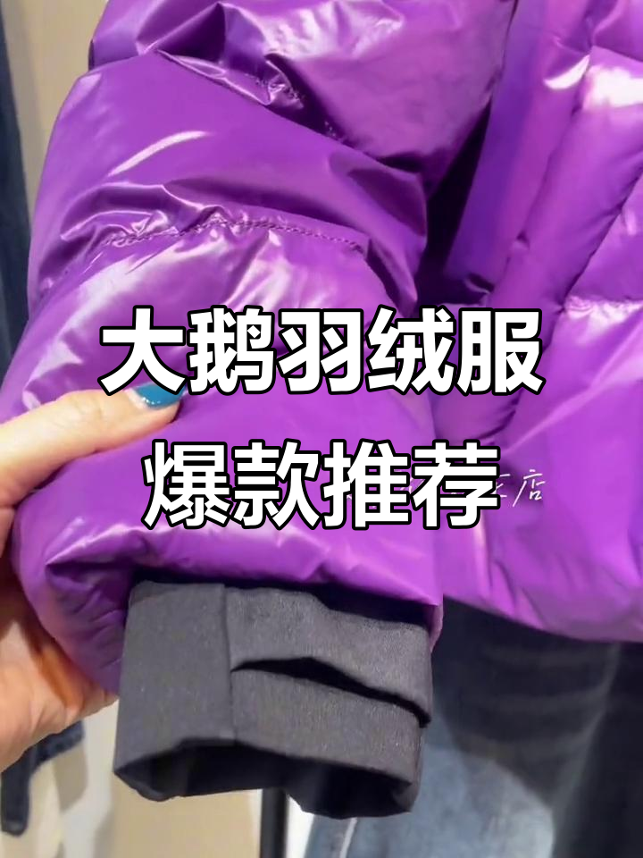 冬季必备!大鹅系列短款羽绒服,防风保暖又时尚